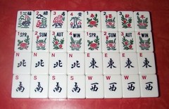 Acrylic American Mahjong Set with 166 Tiles Racks Pushers Tokens Aluminum Case