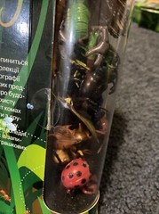 у свiTi жукiв i павукiв Ukrainian children’s board game, new,read description