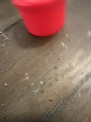 POG Officially Licensed Milkcap Container Never Used Small Size Various Colors