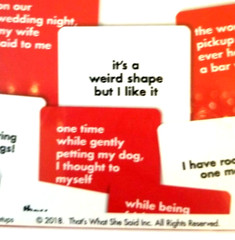 That’s What She Said Card Party Game 400 Phrase Cards 58 Setup Cards 2018