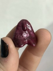 GOGO’S Rare Vintage Maroon Toothpaste JAWS CRAZY BONES Classic Original 1996 1″