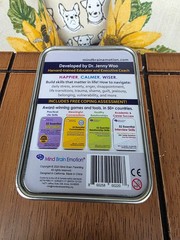 52 Essential Coping Skills Cards Self Care Mind Brain Emotion