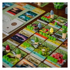 Inside Up Games Game Of The Year Building Card Drafting Action Amazing Natural