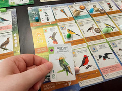 : Wingspan Americas Expansion by Elizabeth Hargrave | Add to Wingspan | Includes