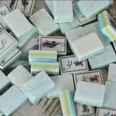Coral & Coast Inspired 4-Layer American Mahjong Tiles
