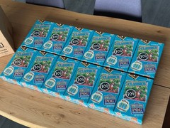 WPF POG Classics Master Case – 12 Boxes / 288 Packs – Vintage 1990s