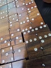 VTG Wood Hand Made Ironwood Dominos Set of 28 Tiles Rustic Log Case Complete