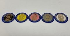 Lot 5 United States US Customs Law Enforcement Explorers POG Milk Cap