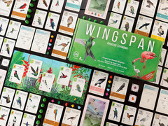 : Wingspan Americas Expansion by Elizabeth Hargrave | Add to Wingspan | Includes