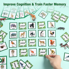 82 Pcs Memory Matching Games Animals Matching Cards Wild Animals Memory Game Jun