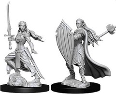D&D Nolzur’s Marvelous Unpainted Miniatures (W4) Elf Male Druid