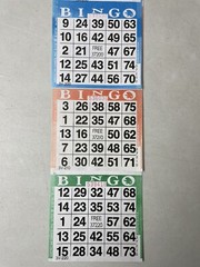 Bingo Cards 50 PAPER 3 On Triple or 3 Page Books 150 Sheets 3 Colors 450 Games