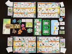 : Wingspan Americas Expansion by Elizabeth Hargrave | Add to Wingspan | Includes