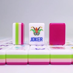 Rose red acrylic 160 American mahjong engraved tiles home gift set