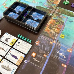 Finspan: Sharks & Reefs Expansion Board Game by Stonemaier