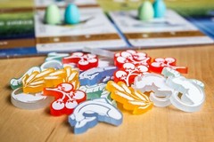 Wingspan Board game Frosted Acrylic Tokens Set