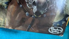 Hasbro Gaming: Risk Board Game: The Game of Strategic Conquest for 2-5 Players