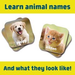 Baby Animals Matching Memory Game for Kids Ages 3+ – Preschool Concentration …