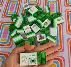 Forest Wizard Pearls Mahjong Set Of Tiles American Mahjong Mahj Oh My Line Set