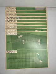 APBA Professional Golf Game