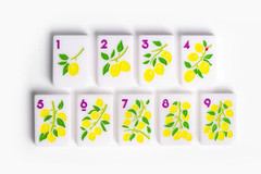 Premium American Mahjong Set 160pcs – Summer Fiesta