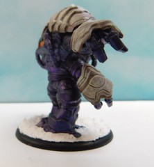 1X Well Painted FFP Shadows Of Brimstone Guardian of Targa XL Sized enemy pack