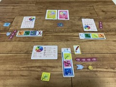 Herbarium 2-5 players 20-30 mins Set Collection Board Game Sai Beppu New Japan