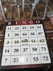 Pavilion Deluxe tournament 2-In-1 Family Bingo game set Toys “R” Us 2009