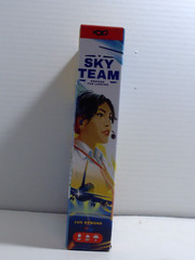 Sky Team – Prepare for Landing Board Game