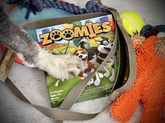 Zoomies – Fast-Paced Dog Walking Family Card Board Game Fun for All Ages Quic…