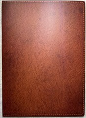 One (1) Wingspan Player Mat – Habitat Board Replacement
