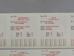 Vintage APBA Sports American SADDLE HORSE RACING Game & 1973 SECRETARIAT Season