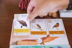 Wingspan – Asia Expansion [Board Game, 1 – 5 Players]