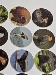 Used Vintage 90s Pogs Lot Of 12 Wildlife Animals Birds Sea Life Frogs.