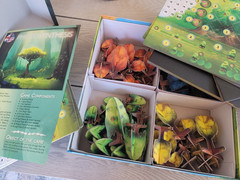 Photosynthesis Board Game – Used – 2017 Blue Orange