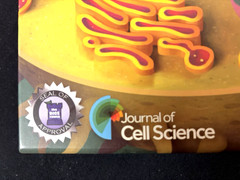 Genius Games Cytosis 2nd Edition Board Game Cell Biology Science Family