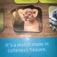 Matching Game Baby Animals – Board Game for Kids 3 and up – Concentration