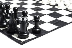 Giant Plastic Chess Set with a 12″ King – Outdoor Chess Set