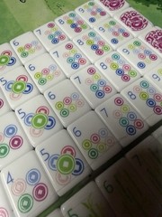 Mahjong Game Set 160 Tiles Modern Pastel Layered Design Complete Set green（4）
