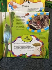 у свiTi жукiв i павукiв Ukrainian children’s board game, new,read description