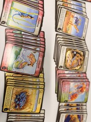 Evolution Board Game North Star Games Complete Clean Open Box Strategy Card Game