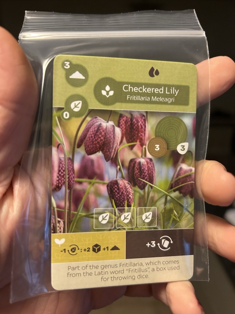 Earth: Checkered Lily Promo Card Rare Kickstarter Dice Tower 2024 – New!