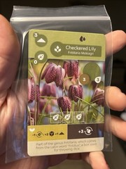 Earth: Checkered Lily Promo Card Rare Kickstarter Dice Tower 2024 – New!