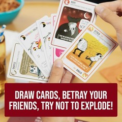 Exploding Kittens Original Edition – 2-5 Players – Ages 7+ – 15 Minutes to Play
