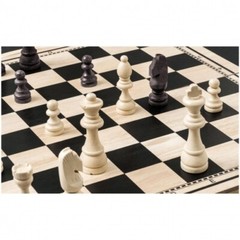 Chess Backgammon Checkers Set – Field 50mm – With Carry Handle