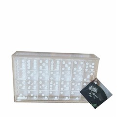 Clear Acrylic Dominoes Game Set in Case 4×7 by Sagebrook Home NEW