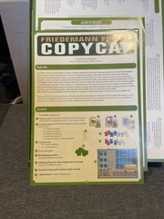 Rio Grande Boardgame Copycat 2012 MINT