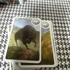 Cardline: Animals by Asmodee 2013 Complete Card Game Bombyx 100% Complete