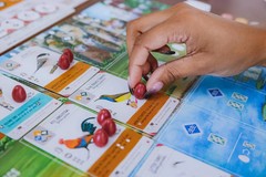Wingspan – Asia Expansion [Board Game, 1 – 5 Players]