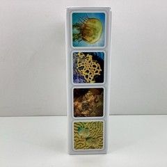 OuiSi Nature Photo Card Game Montessori Homeschool Brain Gym Creative Thinking